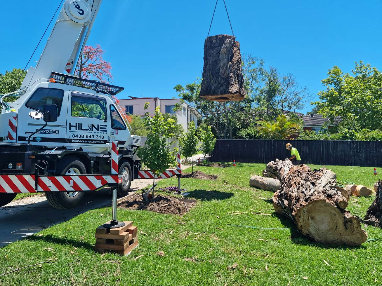 Residential Tree Services